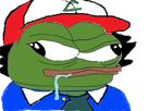 chasseur-sacha-casquette-trisomique-other-frog-pokeball-bave-pepe-4chan-pokemon-handicape