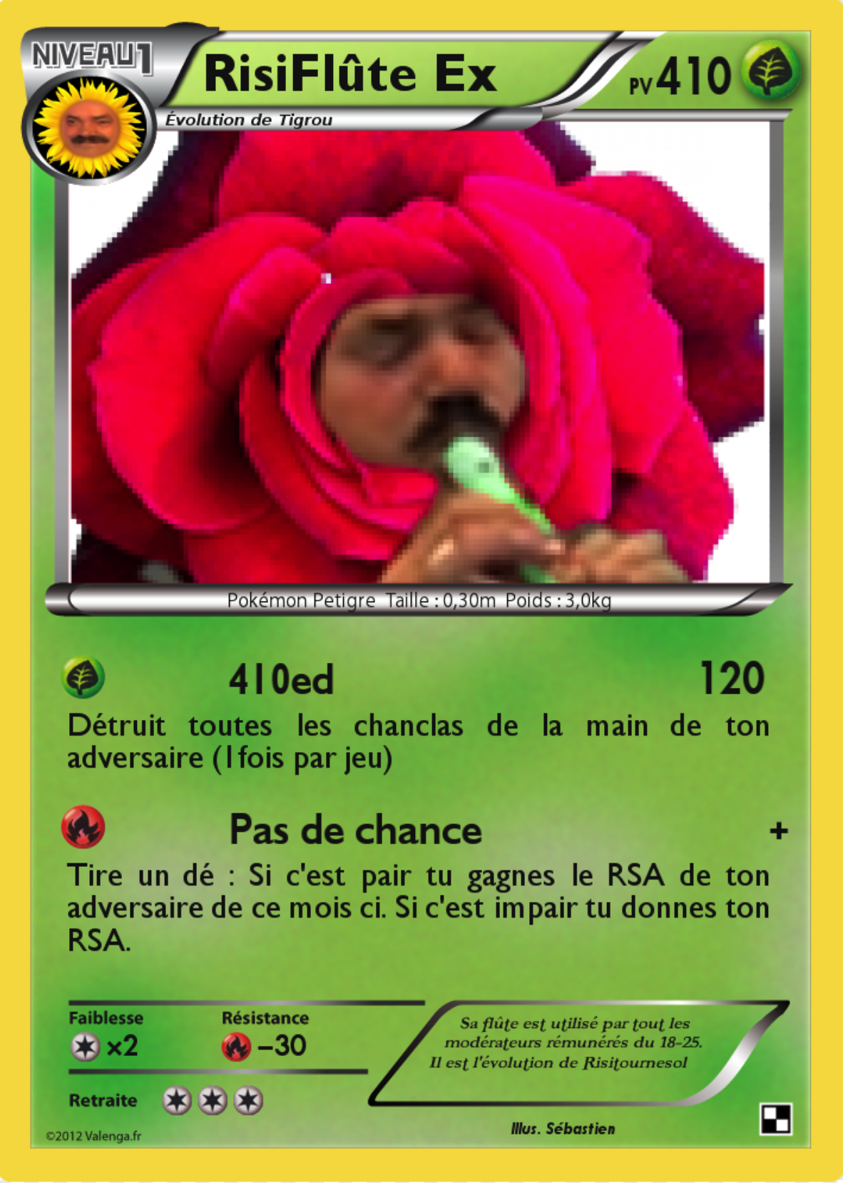 fleur risitas risifleur pokemon risiviolet tournesol