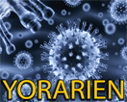 yorarien-risitas-trump-virus-ww3-nucleaire