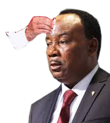 cnan president desly avenoel mahamadou niger politic sueur issoufou