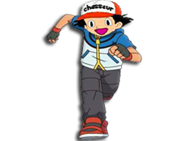 sacha eco collection pokedex pokeball nouveau pepekachu chasseur obtenu medaille hunter badges pokemon 2sucres