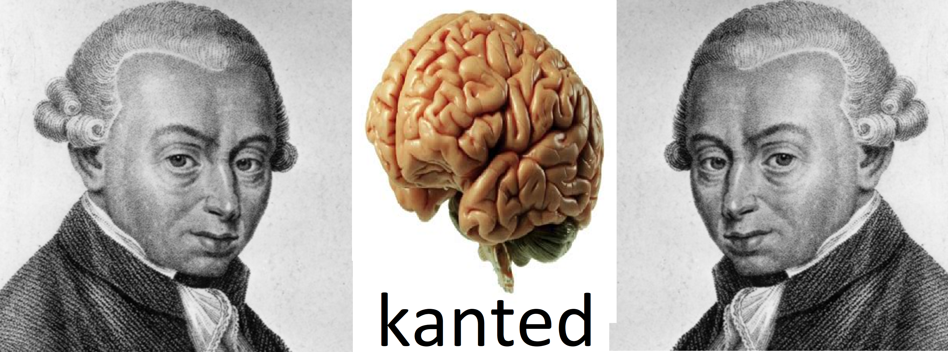 kanted kant immanuelkant risitas
