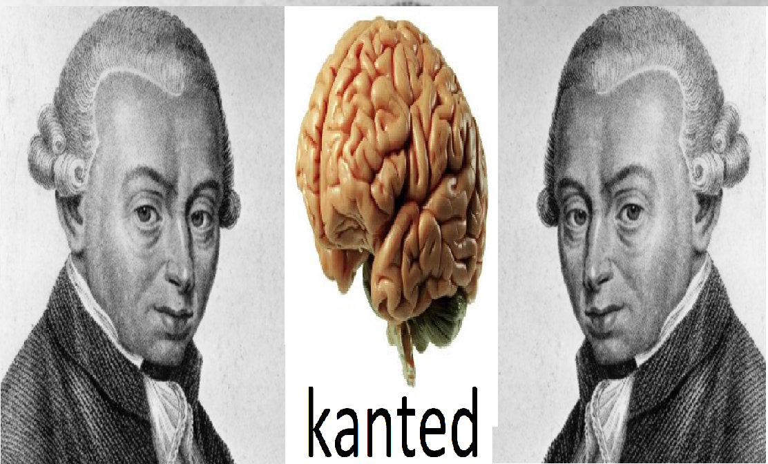 immanuelkant kant kanted risitas
