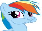 suspect-my-avale-rainbow-little-other-pony-dash-poney