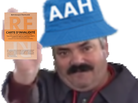 dinvalidite aah risitas carte