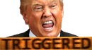triggered risitas donald trump