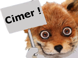 fox cimer risitas ryodelrio renard merci