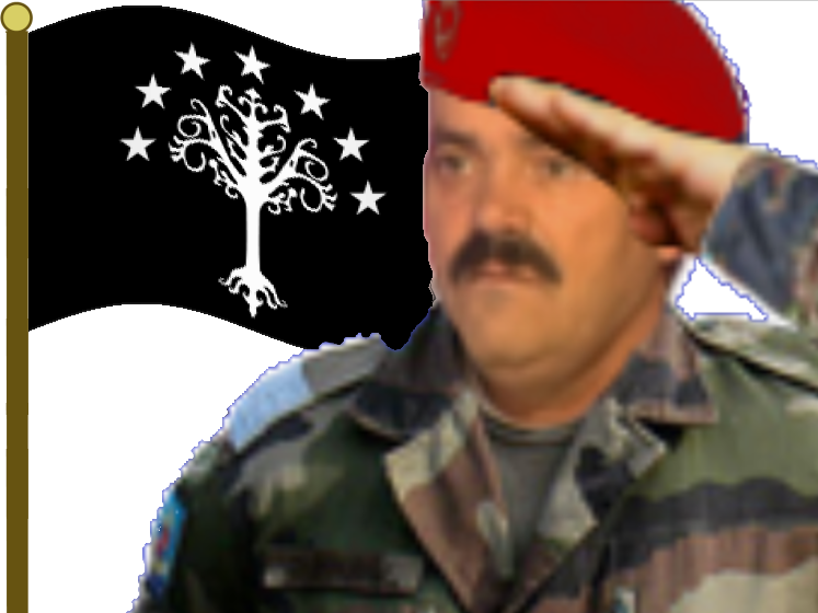 gondor drapeau risitas