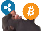 btc-bitcoin-ripple-xrp-risitas-crypto