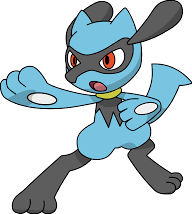 combat riolu pokemon combattif