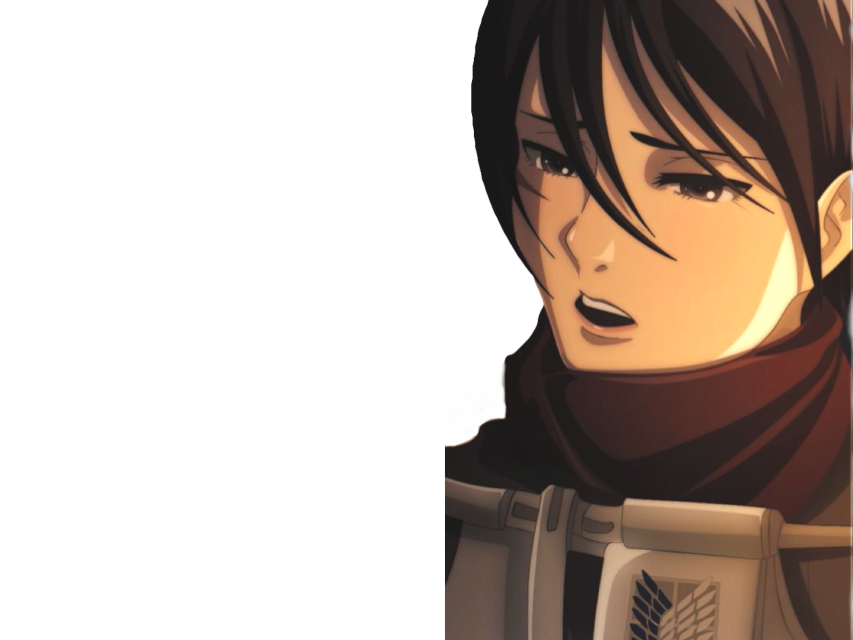 titans manga japon mikasa eren des snk attaque kikoojap ackerman anime