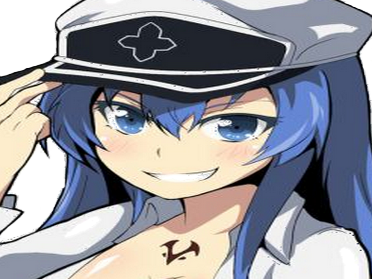 kikoojap akame ga esdeath kill sourire