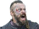 harald-vikings-rage-other