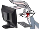 bunny-pc-other-ordinateur-bugs