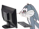 bugs-bunny-ordinateur-other-pc