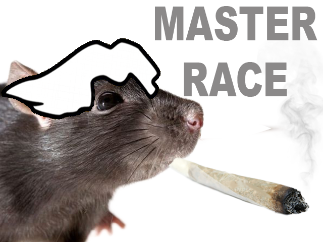bedo course maitre rat weed drogue join shit other lsd master