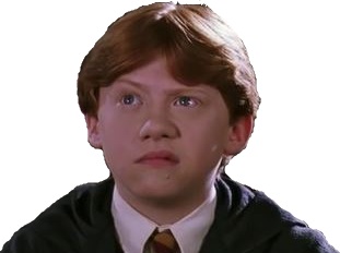 potter pessimiste christavalier gilderoy lockhart harry weasley 2 tete ronald ron