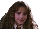 harry-hermione-christavalier-charmeur-watson-lockhart-fangirl-potter-emma-sourire-hp2
