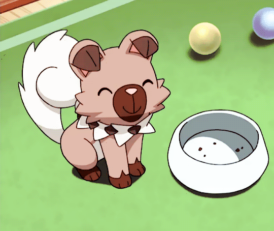 pokemon rocabot risitas cute