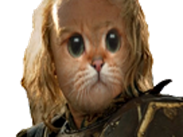 guerrier animal triste other chat