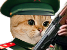 arme-soldat-hd-guerrier-cat-chat-risitas