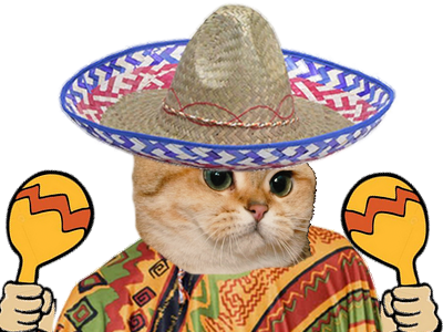 hd mexique chat maracas mexico risitas