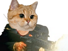 risitas-arme-cat-scarface-hd-chat