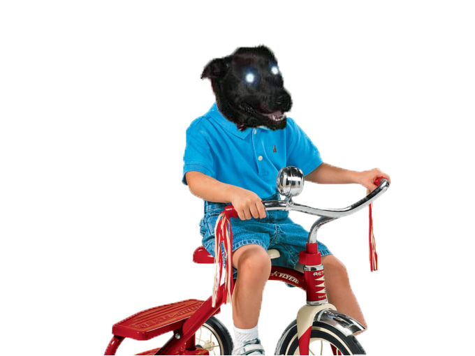 chien velo tricyle risitas