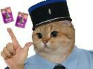 gilbert-risitas-whiskas-sucres-police-chat-deux-cat