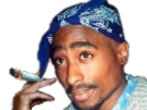 other-tupac-joint-fume