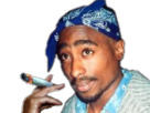 fume-other-joint-tupac