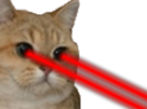 rouges-chat-jvc-yeux-laser-rouge-orange-wars-roux-war-star