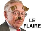flaire-chien-other-larry