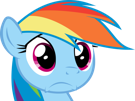 my-little-mlp-rainbow-risitas-inquiet-pony-bleu-dash