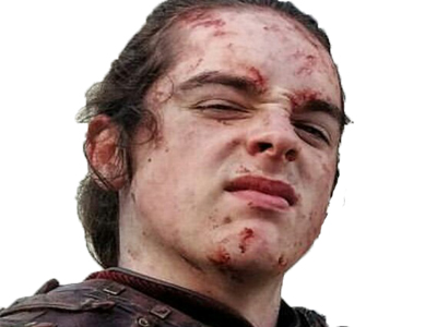 roi vikings alfred king