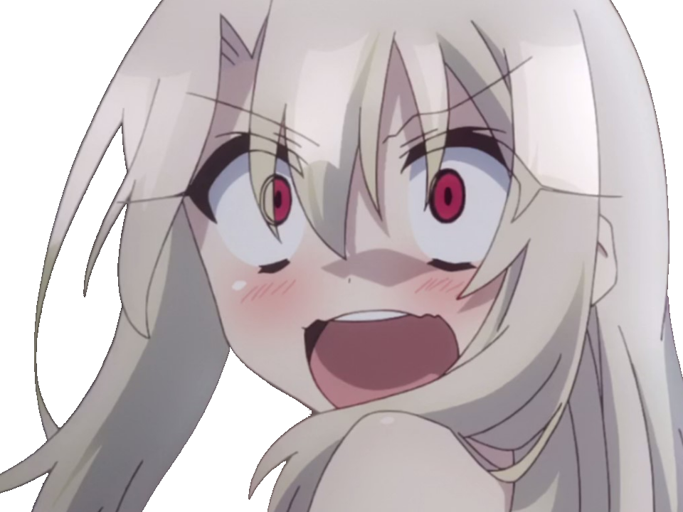 fate kaleid illya kikoojap