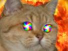 chat-feu-multicolor-explosion-couleur-risitas-alerte-roux-plusieurs-yeux-multi-insane