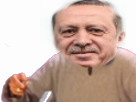 issou-erdogan-politic-turc