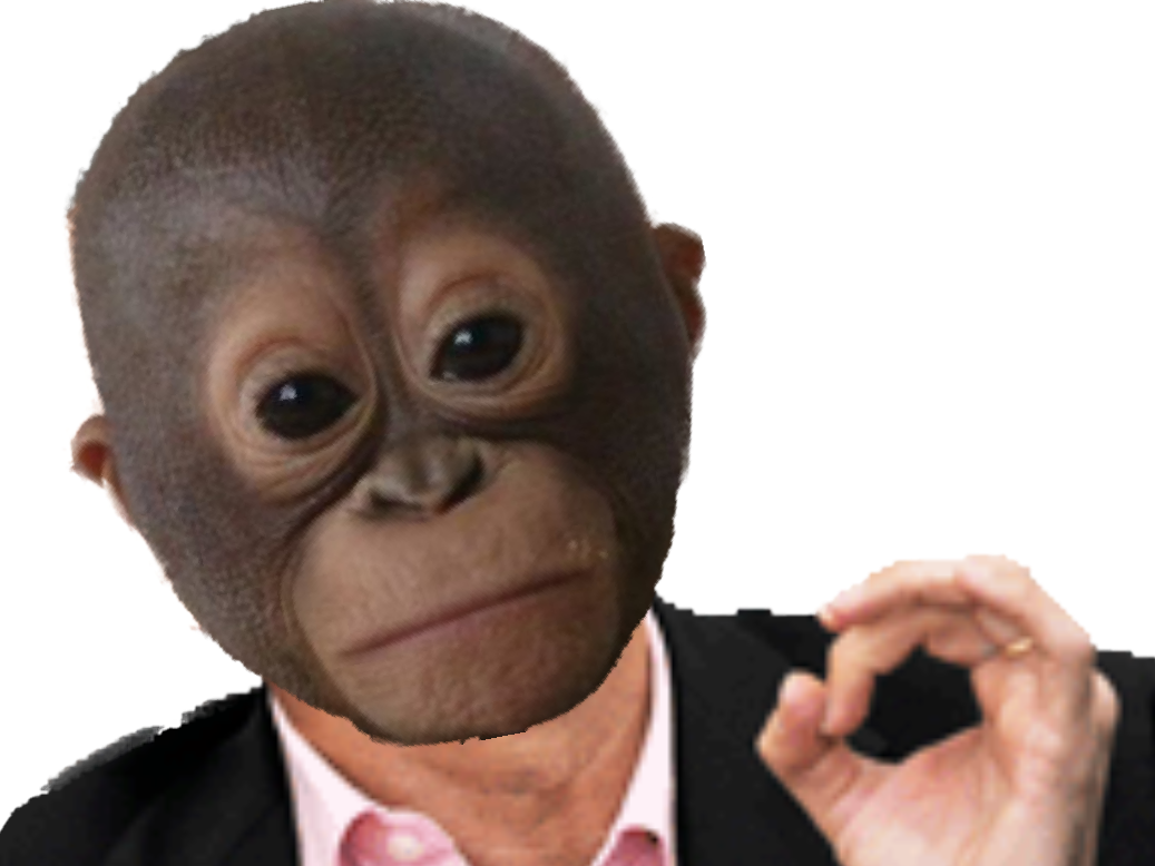 orang singe jvc outan