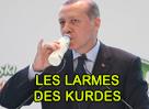 erdogan-kurde-risitas-boss-kurdemerde-cuck