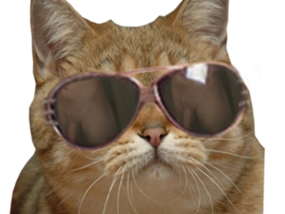 lunettes chat risitas jesus