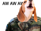 attention-militaire-aw-risitas-whore-chienne-arme-ddb-uniforme-fille-chien-armee