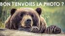 attention-ours-photo-aw-other-grizzly-whore