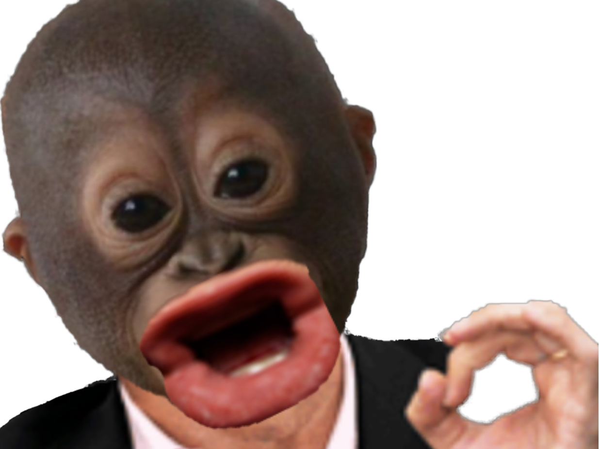 eussou jvc singe orang outan