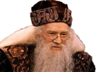 christavalier-harry-professeur-directeur-potter-other-souriant-affable-aimable-dumbledore