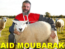 risitas-moubarak-paysan-mouton-aid