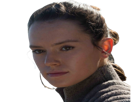 rey-ridley-daisy-other