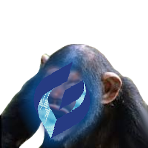 gat fidelite risitas finance