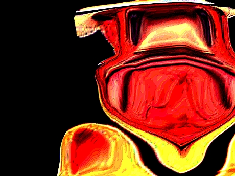 issou monstre flamme omg risitas bassam enfer difforme aya bordel