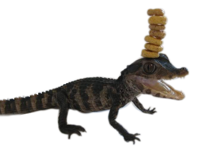 caiman other pile hyunvell